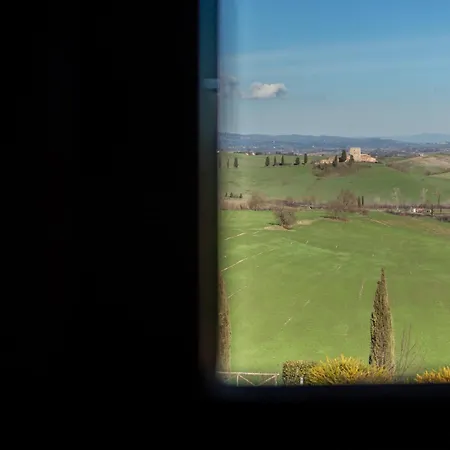 Sunflower Con Vista Su Siena Corsano (Tuscany)